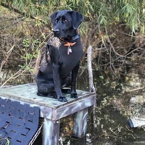 Meet your Posher, Don